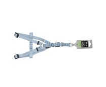 זאוס - רתמת ניילון תכלת A גודל M לכלב