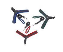 רצועה מג'ינס+רתמה 2.5 ס"מ