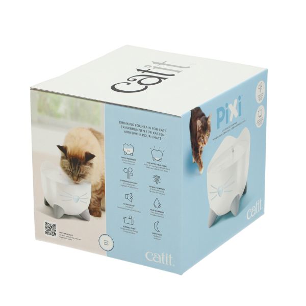 קט איט - מזרקת 