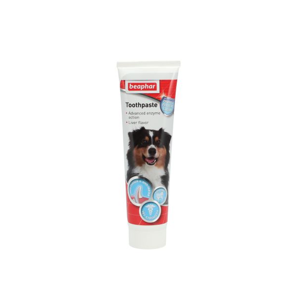 ביהפר משחת שיניים לכלב ולחתול