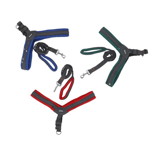 רצועה מג'ינס+רתמה 2.5 ס