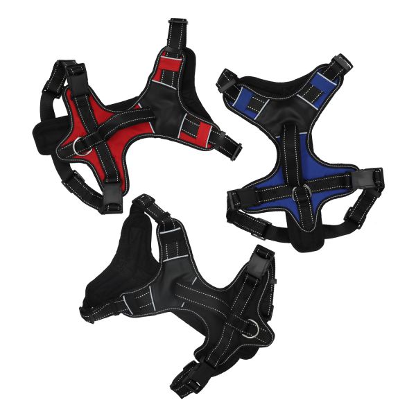 רתמת ספורט ניילון L (שחור/אדום/כחול)