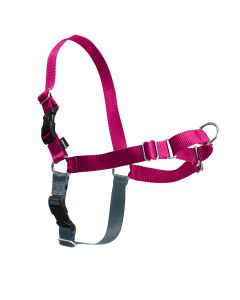 פט סייף איזי וולק הרנס - רתמת גוף נגד משיכות – מידה XS