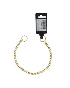 קולר חנק בצבע זהב לכלבים מגזע קטן